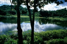 Archipel-des-Comores;-Eau;-Étang;-Forêt;-France;-Kaleidos;-Kaleidos-images;-La-parole-à-limage;-Laurent-Abad;-Mayotte;-Nuages;-Océan-Indien;-Paysage;-Reflets;-Stories-Pictures